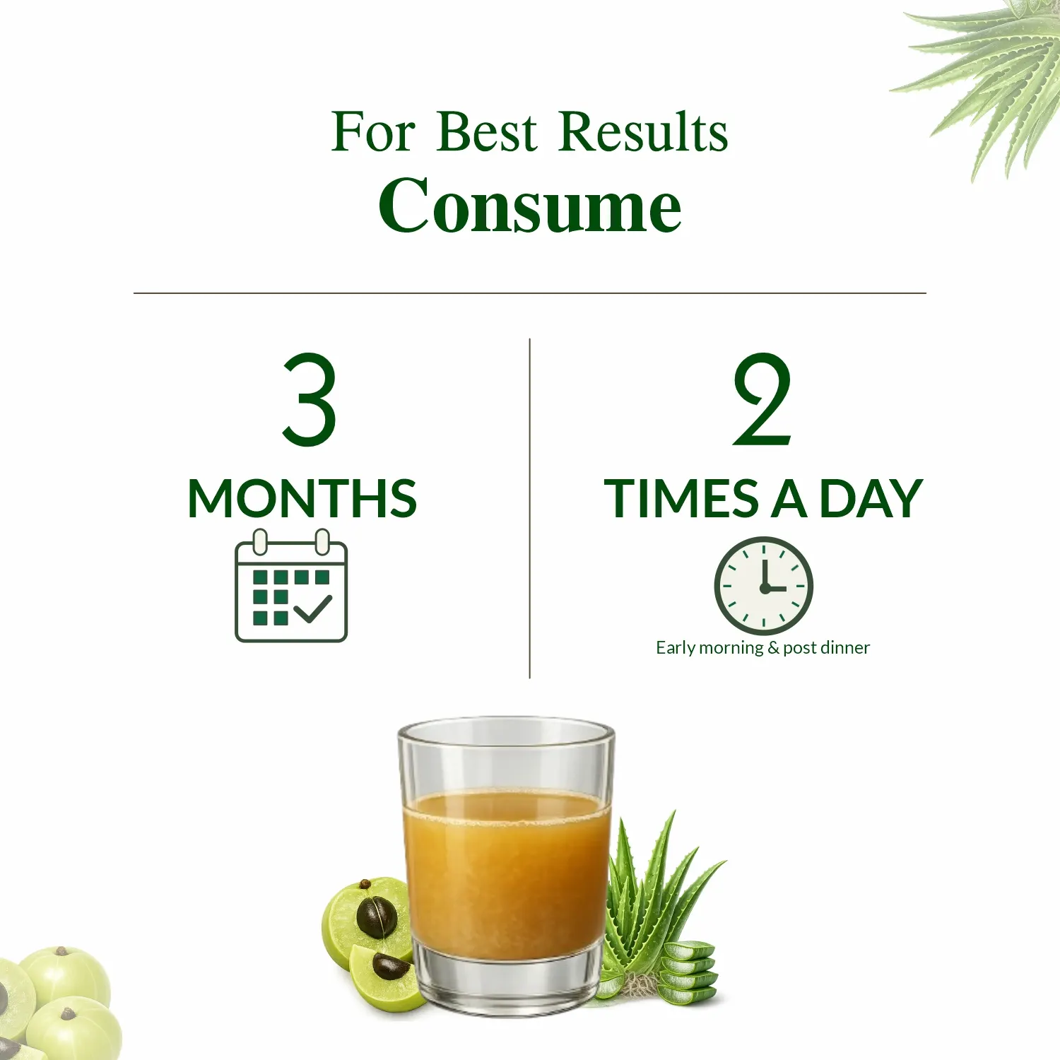 Axiom Jeevan Ras Aloevera Amla Juice - Image 6